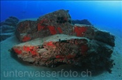 Die Felsenriffe vor der Küste von Lanzarote bestehen aus erkalteter Lava (Lanzarote, Kanarische Inseln, Atlantischer Ozean)