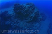 Die Felsenriffe vor der Küste von Lanzarote bestehen aus erkalteter Lava (Lanzarote, Kanarische Inseln, Atlantischer Ozean)