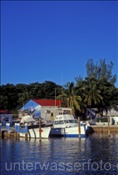 Hafen des Walkers Cay Resort (Bahamas)