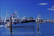 Tauchboot auf dem Weg zum Tauchplatz auf Walkers Cay (Bahamas)