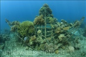 Künstliche Riffstruktur aus Stahlelementen zur Korallenaufzucht (Bali, Indonesien) - Artificial Coral Reef (Bali, Indonesia)