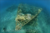Neu gewachsene Korallen an einer künstlichen Riffstruktur aus Stahlelementen zur Korallenaufzucht (Bali, Indonesien) - Artificial Coral Reef (Bali, Indonesia)