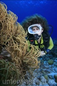 Taucherin mit Flexibler Lederkoralle (Sinularia flexibilis), (Wetar, Banda-See, Indonesien) - Scubadiver and Slimy Leather Coral (Wetar, Banda-Sea, Indonesia)