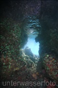 Höhle im Korallenriff (Misool, Raja Ampat, Indonesien) - Reef Cavern (Misool, Raja Ampat, Indonesia)