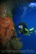 Taucherin mit farbenprächtigem Korallenriff (Misool, Raja Ampat, Indonesien) - Scubadiver and beautyful Coral Reef (Misool, Raja Ampat, Indonesia)
