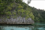 Küstenbereich einer Insel in Misool (Raja Ampat, Indonesien) - Misool Coast (Raja Ampat, Indonesien)