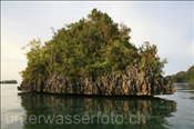 Küstenbereich einer Insel in Misool (Raja Ampat, Indonesien) - Misool Coast (Raja Ampat, Indonesien)