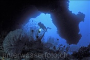 Taucherin erkundet Riffhöhle im indischen Ozean
