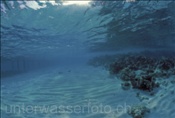 Hausriff von Angaga im indischen Ozean (Malediven)