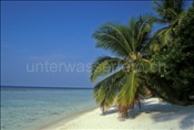 Strand auf der Ferieninsel Kuramathi im indischen Ozean (Malediven)
