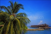 Wasserbogalows auf der Ferieninsel Kuramathi im Indischen Ozean (Malediven)