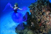 Unterwassermodel posiert im Korallenriff (Malediven, Indischer Ozean), Underwater model (Maldives, Indian ocean)