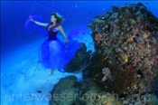 Unterwassermodel posiert im Korallenriff (Malediven, Indischer Ozean), Underwater model (Maldives, Indian ocean)