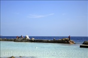 Wiederaufbau der zerstörten Schutzmauer der Malediveninsel Elaidhoo (Ari-Atoll, Malediven, Indischer Ozean) - Rebuilding of the Protection-Wall of the Island Elaidhoo (Ari-Atoll, Maldives, Indian Ocean)