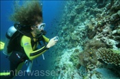 Taucherin mit Fotoapparat am Riff (Ari Atoll, Malediven, Indischer Ozean) - Scubadiver widt camera and reef (Ari Atoll, Maldives, Indian Ocean)