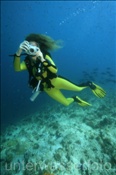 Taucherin mit digitaler Kamera (Ari Atoll, Malediven, Indischer Ozean) - Scubadiver widt digital camera (Ari Atoll, Maldives, Indian Ocean)