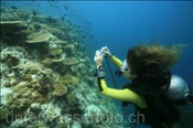 Taucherin fotografiert das Korallenriff (Ari Atoll, Malediven, Indischer Ozean) - Scuba diver take pictures of the reef (Ari Atoll, Maldives, Indian Ocean)