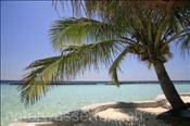 Strandbereich der Malediveninsel Ellaidhoo mit Schutzmauer, Ari-Atoll, Malediven, Indischer Ozean, Beach of Ellaidhoo, Ari-Atoll, Maldives, Indian Ocean