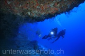Taucher erkunden ein Riff (Meemu Atoll, Malediven, Indischer Ozean) - Scubadivers and Reef (Mulaku Atoll, Maldives, Indian Ocean)