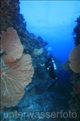 Broken Rock ist ein bekannter Tauchplatz (Ari Atoll, Malediven, Indischer Ozean) - Famous diveplace Broken Rock (Ari Atoll, Maldives, Indian Ocean)