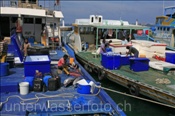 Transportboote im Hafen von Male (Nord Male Atoll, Malediven, Indischer Ozean) - Male Harbour (North Male Atoll, Maldives, Indian Ocean)