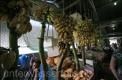Markthalle in Male (Nord Male Atoll, Malediven, Indischer Ozean) - Market of Male (North Male Atoll, Maldives, Indian Ocean)