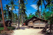Einheimisches Dorf auf der Insel Malapascua (Cebu, Philippinen) - Malapascua Island (Cebu, Philippines)