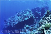 Wrack eines Schleppers beim Galawariff im Roten Meer (Ägypten)