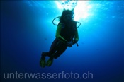 Taucher im Freiwasser (Rotes Meer, Ägypten) - Scubadiver in the open sea (Red Sea, Aegypt)