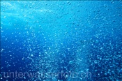 Luftblasen (Rotes Meer, Ägypten) - Bubbles (Red Sea, Aegypt)