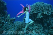 Unterwassermodel posiert im Korallenriff (Ägypten, Rotes Meer), underwater model (Aegypt, Red Sea)