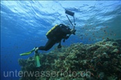Ein Unterwasserfotograf mit Kreislaufgerät fotografiert an einem Korallenriff im Roten Meer (Ägypten, Rotes Meer), Underwater Photographer takes photos of coral reef (Aegypt, Red Sea)