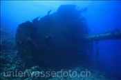 Schiffswrack der Ghiannis D. bei Abu Nuhas (Ägypten, Rotes Meer), Shipwreck of Ghiannis D. (Aegypt, Red Sea)