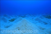 Der Sandboden im Roten Meer gleicht einer Kraterlandschaft (Ägypten, Rotes Meer) - Sandy bottom in the Red Sea (Aegypt, Red Sea)