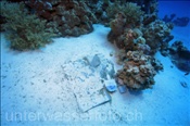 Eine Kartonverpackung liegt im Korallenriff (Ägypten, Rotes Meer) - Rubbish in the Reef (Aegypt, Red Sea)