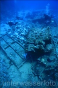 Taucher am Schiffswrack der Jolanda beim Ras Muhammed (Sharm el Sheikh, Ägypten, Rotes Meer) - Jolanda Shipwreck (Sharm el Sheikh, Aegypt, Red Sea)