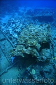 Jolanda Schiffswrack beim Ras Muhammed (Sharm el Sheikh, Ägypten, Rotes Meer) - Jolanda Shipwreck (Sharm el Sheikh, Aegypt, Red Sea)