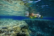 Schnorchlerin beim Korallenriff von Ras Nasrani (Sharm el Sheikh, Ägypten, Rotes Meer) - Snorkeler at the coral reef of Ras Nasrani (Sharm el Sheikh, Aegypt, Red Sea)