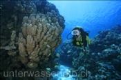 Taucherin schwimmt durch Korallenriff bei Ras Nasrani (Sharm el Sheikh, Ägypten, Rotes Meer) - Scubadiver and Coral reef (Sharm el Sheikh, Aegypt, Red Sea)