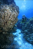 Taucherin schwimmt durch Korallenriff bei Ras Nasrani (Sharm el Sheikh, Ägypten, Rotes Meer) - Scubadiver and Coral reef (Sharm el Sheikh, Aegypt, Red Sea)