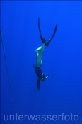 Freitaucher beim Abstieg am Seil (Sharm el Sheikh, Ägypten, Rotes Meer) - Freediver (Sharm el Sheikh, Aegypt, Red Sea)