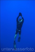 Freitaucher im Blauwasser (Sharm el Sheikh, Ägypten, Rotes Meer) - Freediver (Sharm el Sheikh, Aegypt, Red Sea)