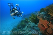 Unterwasserfotograf fotografiert ein Felsenriff (Golf von Kalifornien, Niederkalifornien, Mexiko), Underwater Photographer takes photos of rocky reef (Sea of Cortez, Baja California, Mexico)