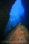 Farbenprächtig bewachsener Felsen in der Unterwasserhöhle von Los Islotes (Golf von Kalifornien, Niederkalifornien, Mexiko) - Underwater cave Los Islotes (Sea of Cortez, Baja California, Mexico)
