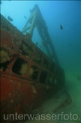 Salvatierra Wrack (Golf von Kalifornien, Niederkalifornien, Mexiko) - Salvatierra Shipwreck (Sea of Cortez, Baja California, Mexico)