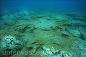 Felsige Unterwasserlandschaft (Teneriffa, Kanarische Inseln, Atlantischer Ozean) - Rocky sea floor (Tenerife, Canary Islands, Atlantic Ocean)