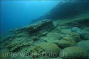 Felsige Unterwasserlandschaft (Teneriffa, Kanarische Inseln, Atlantischer Ozean) - Rocky sea floor (Tenerife, Canary Islands, Atlantic Ocean)