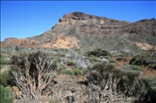 Kraterlandschaft im Teide-Nationalpark (Teneriffa, Kanarische Inseln) - Teide Nationalparc (Tenerife, Canary Islands)
