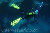 Taucher am Felsenriff (Teneriffa, Kanarische Inseln, Atlantischer Ozean) - Scubadiver and rocky reef (Tenerife, Canary Islands, Atlantic Ocean)