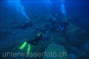Tauchergruppe schwimmt über den felsigen Meeresboden (Teneriffa, Kanarische Inseln, Atlantischer Ozean) - Scubadivers (Tenerife, Canary Islands, Atlantic Ocean)
